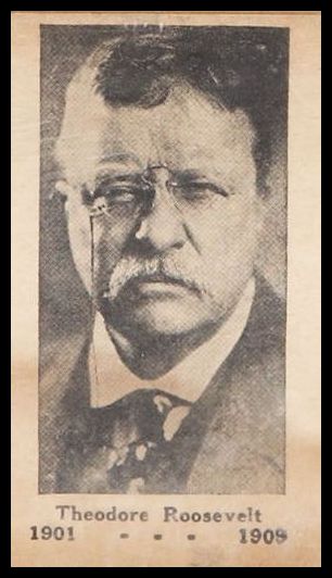 W589 Theodore Roosevelt.jpg